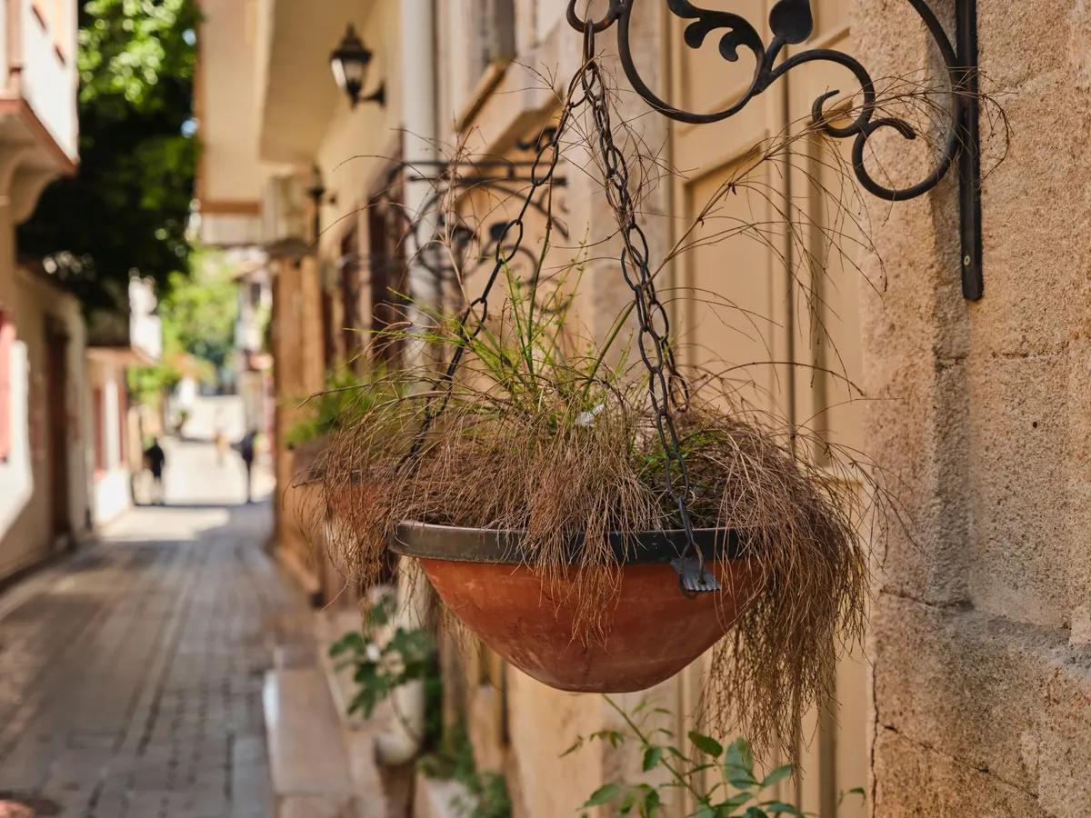 diy brass hanging planter trailing green plant