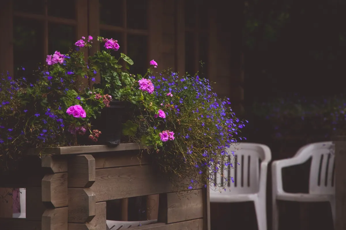 english cottage garden planter trough herbs patio
