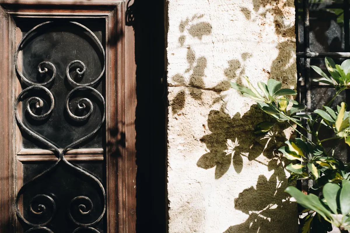 rustic garden trellis against weathered wall with morning light